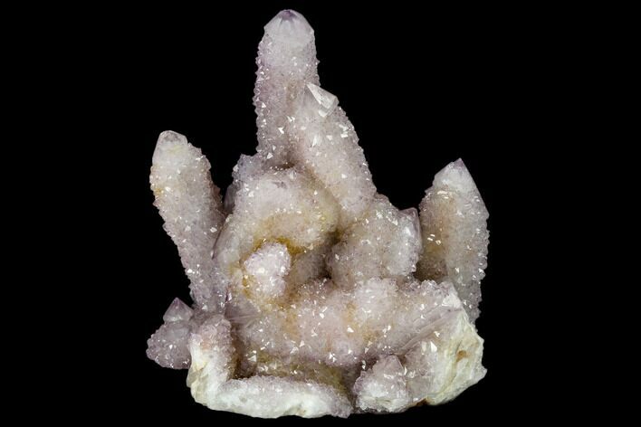 Cactus Quartz (Amethyst) Cluster - South Africa #115125